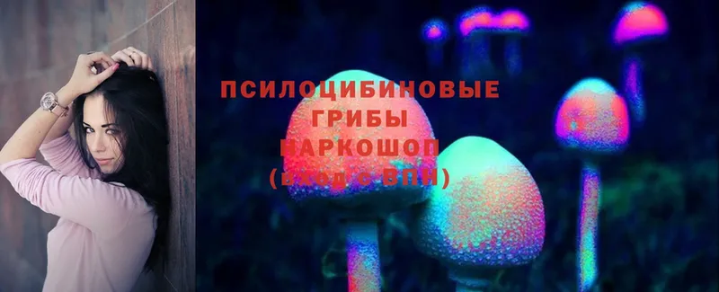 где продают   Жирновск  Галлюциногенные грибы Psilocybe 